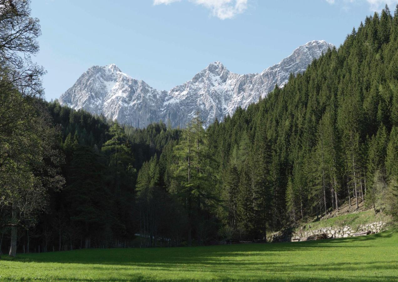 Alpenrose Boutique Chalet Gretl Ramsau am Dachstein Exteriér fotografie