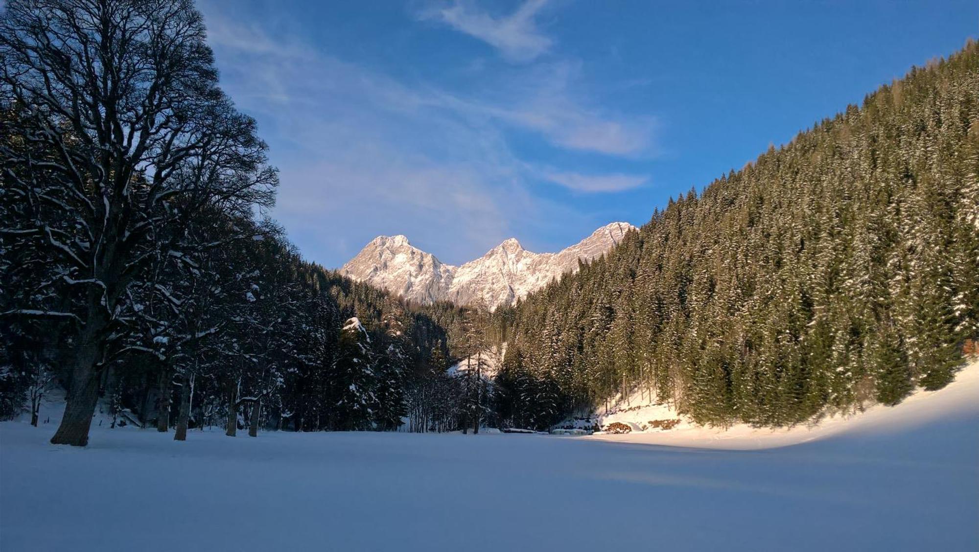 Alpenrose Boutique Chalet Gretl Ramsau am Dachstein Exteriér fotografie