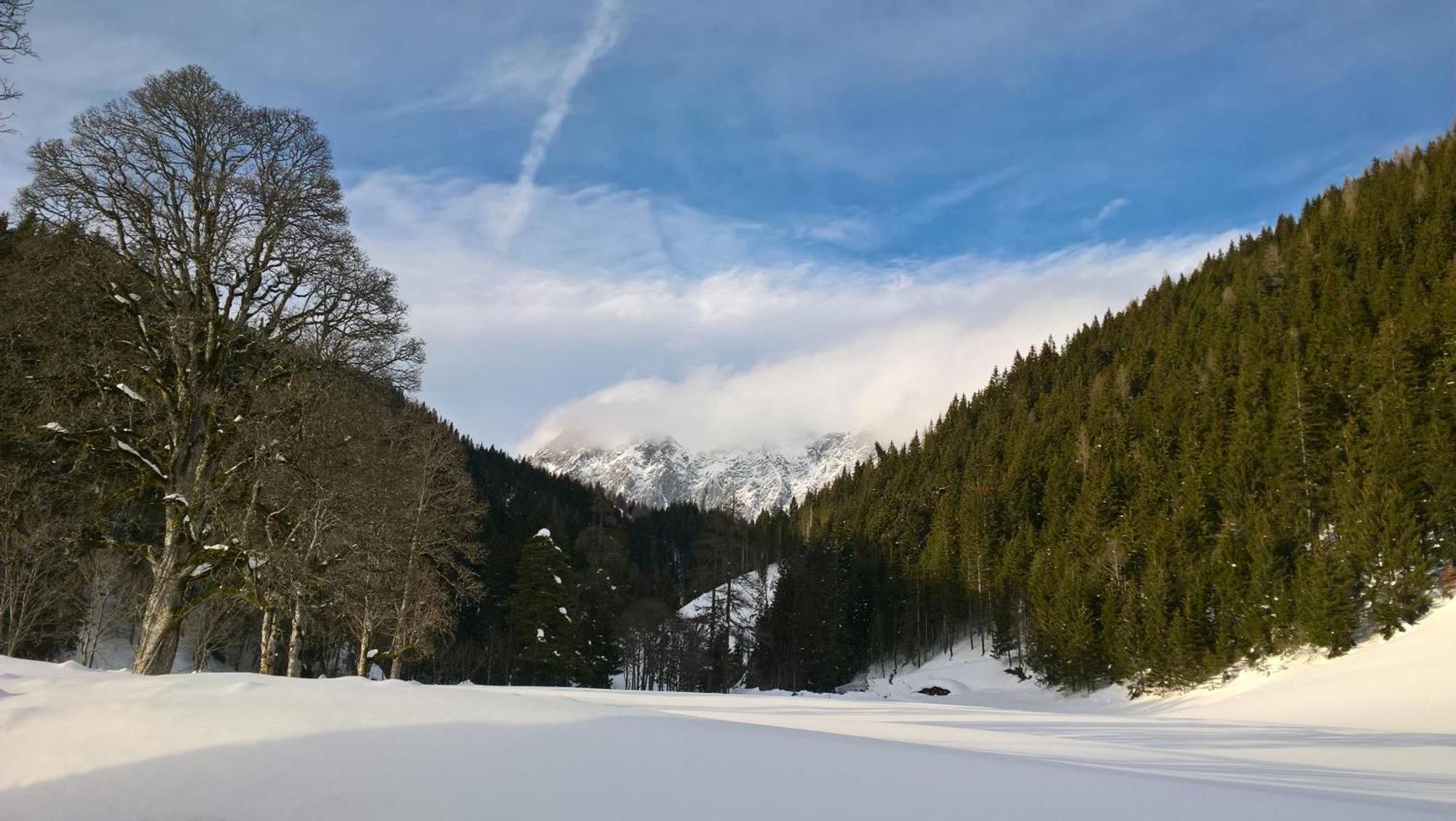 Alpenrose Boutique Chalet Gretl Ramsau am Dachstein Exteriér fotografie