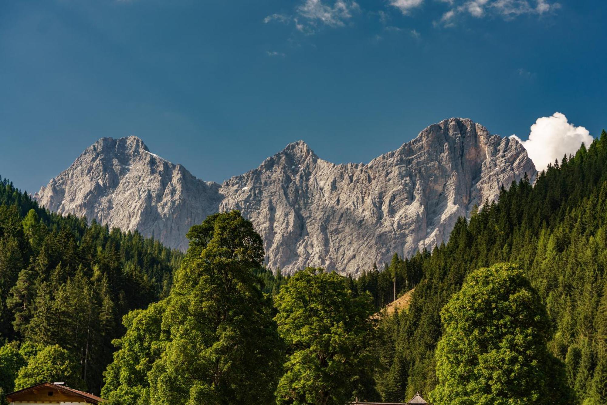 Alpenrose Boutique Chalet Gretl Ramsau am Dachstein Exteriér fotografie