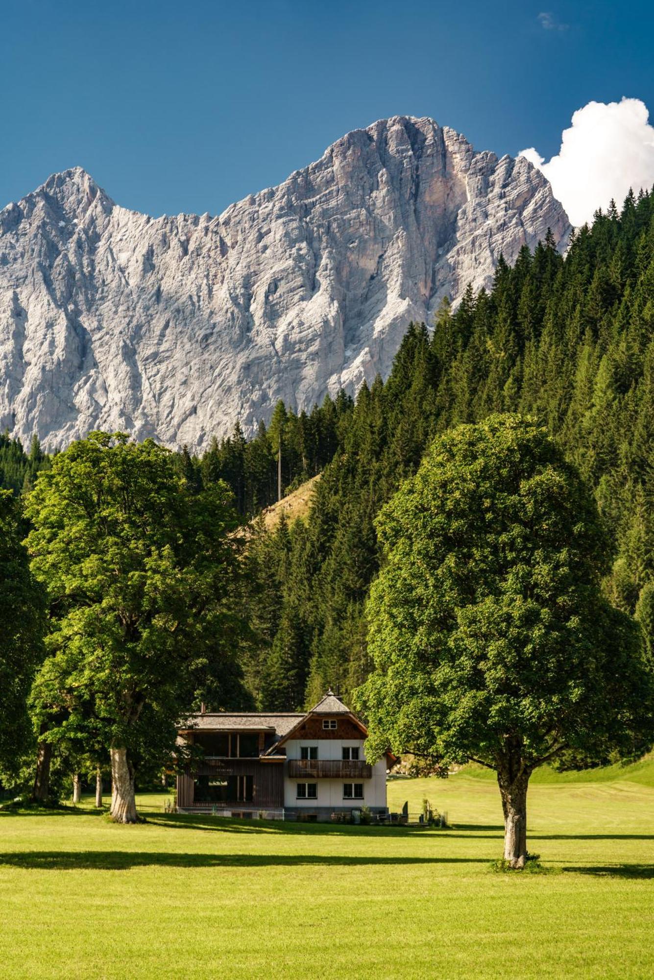 Alpenrose Boutique Chalet Gretl Ramsau am Dachstein Exteriér fotografie