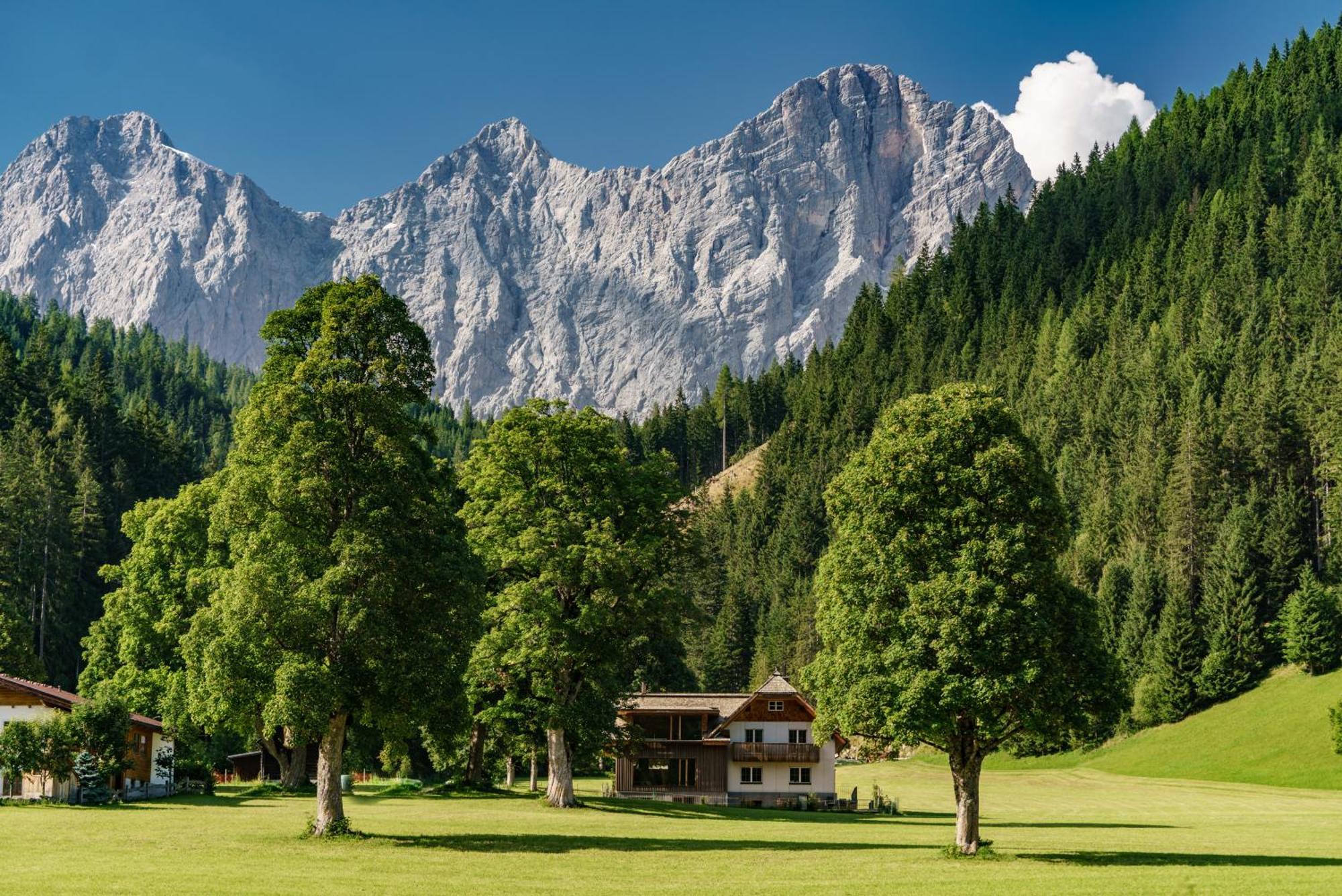Alpenrose Boutique Chalet Gretl Ramsau am Dachstein Exteriér fotografie